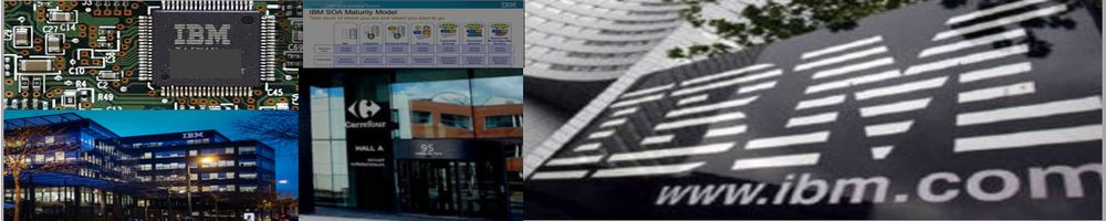 IBM France représente une force de 11.000 employés et déploie l'ensemble de l'offre auprès des grands comptes français.